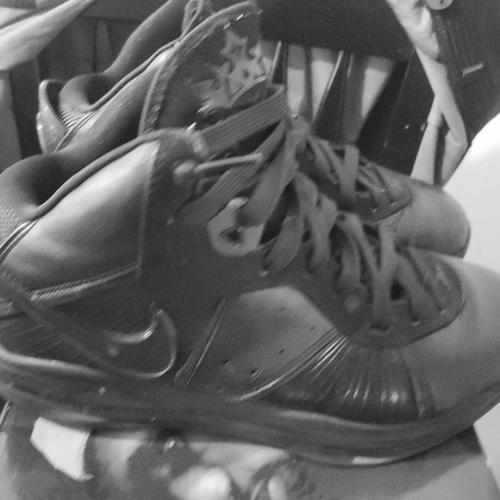 Lebron 8